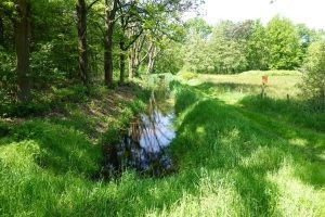 Werkgroep Communicatie